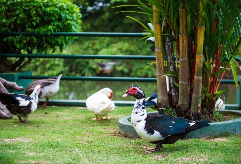 Hotel Wet Water Resort