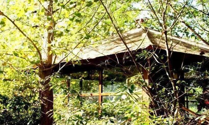 The Tree House Resort