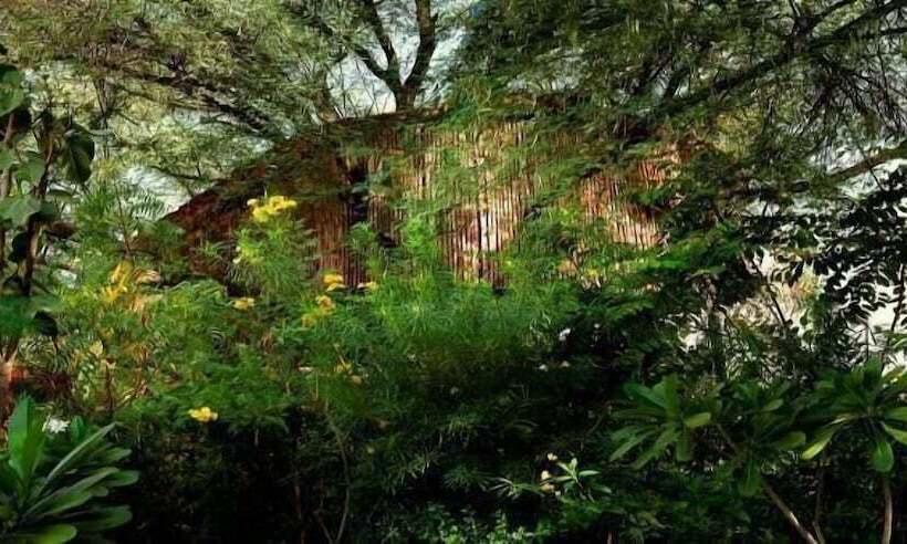 The Tree House Resort