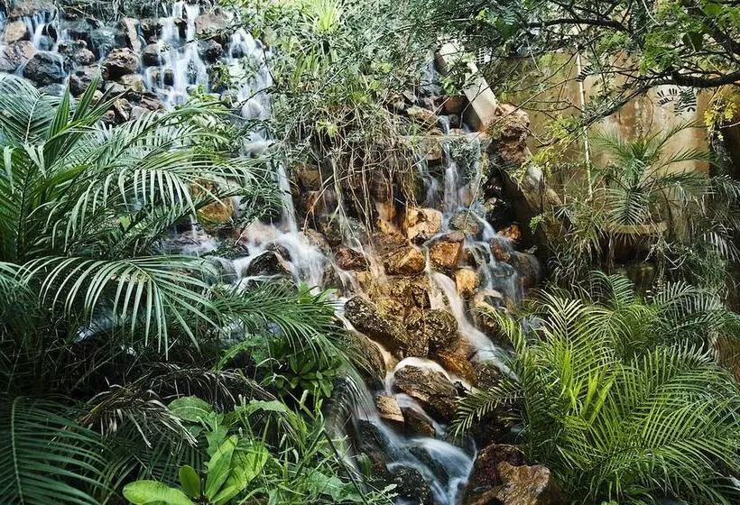 The Tree House Resort