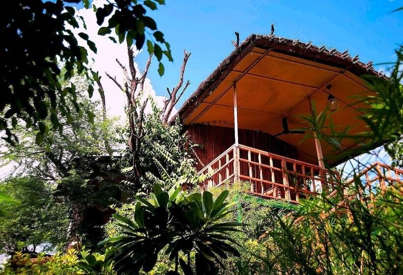 The Tree House Resort