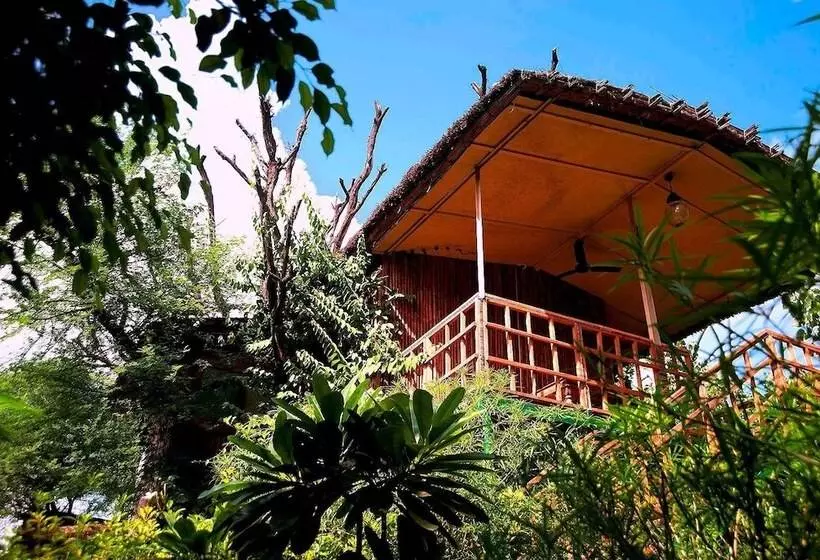 The Tree House Resort