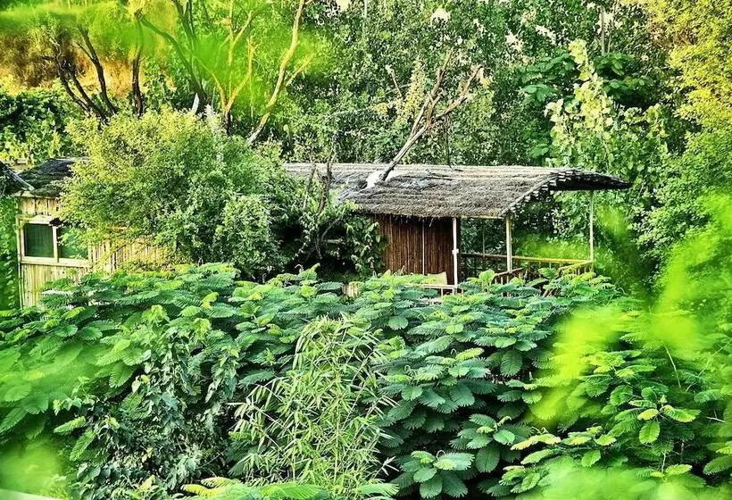 The Tree House Resort