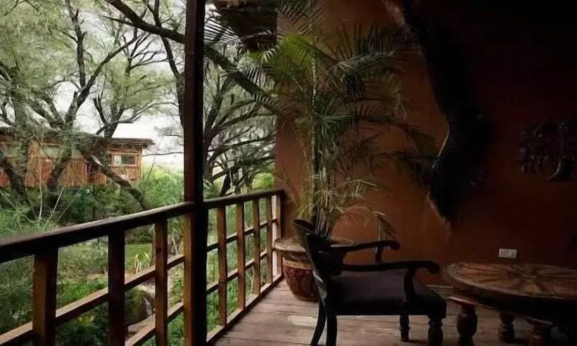 The Tree House Resort