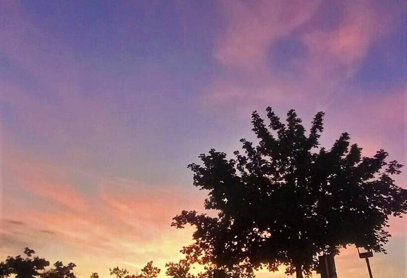 Altstadthotel Alt & Jung