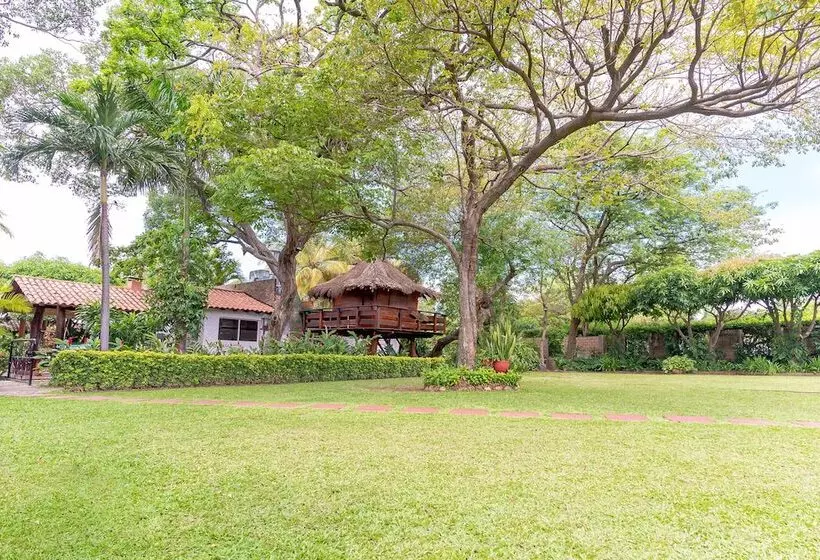 Hotelli Ayenda Rancho Regis Valledupar