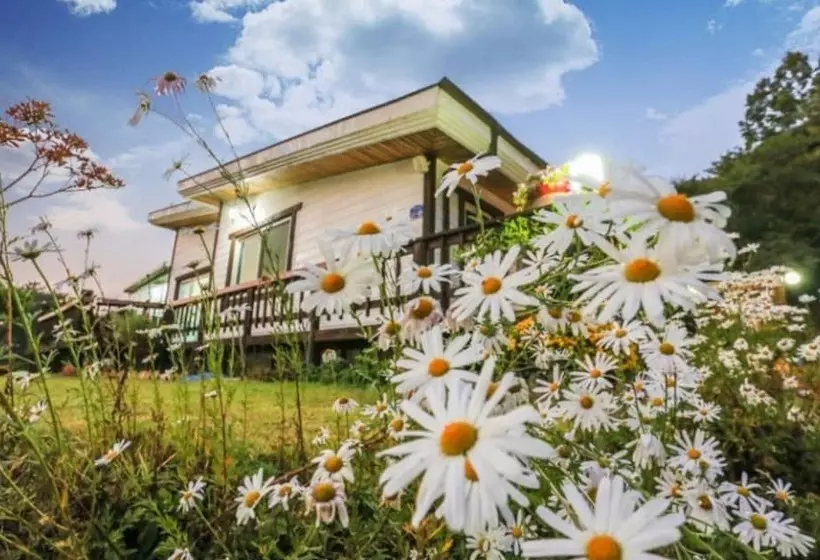 ホテル Gapyeong Starry Pension