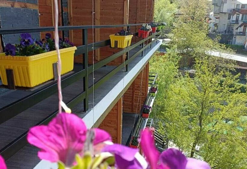 בית מלון כפרי Ireland