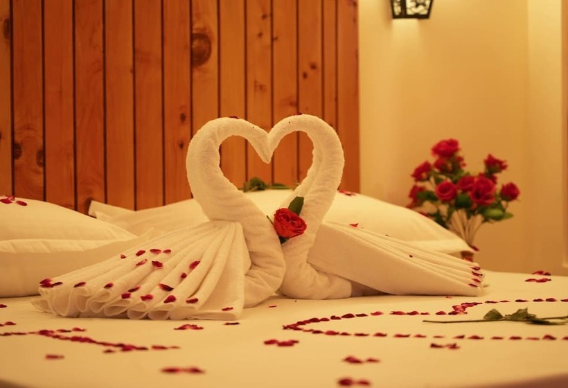 בית מלון כפרי Ireland