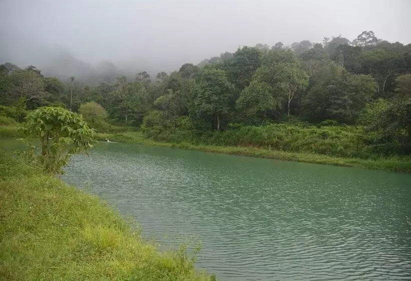 ホテル Magnolia Estates & Resort