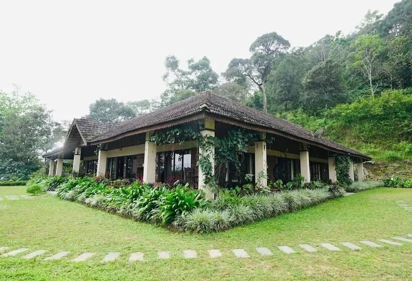 ホテル Magnolia Estates & Resort