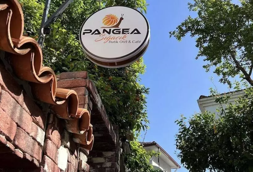 ホテル Pangea Sigacik Pansiyon & Bistro