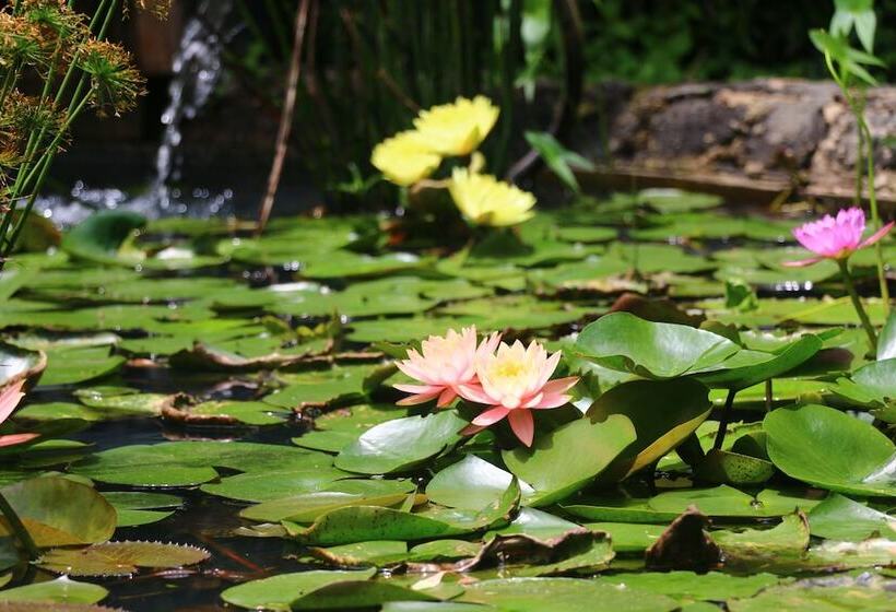 Otel Posada La Presa