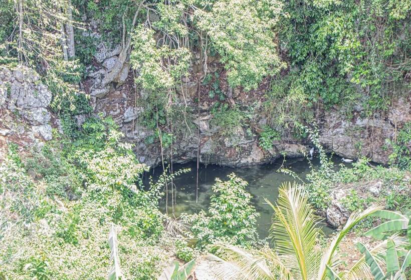 پانسیون Haley S Paradise At Blue Hole