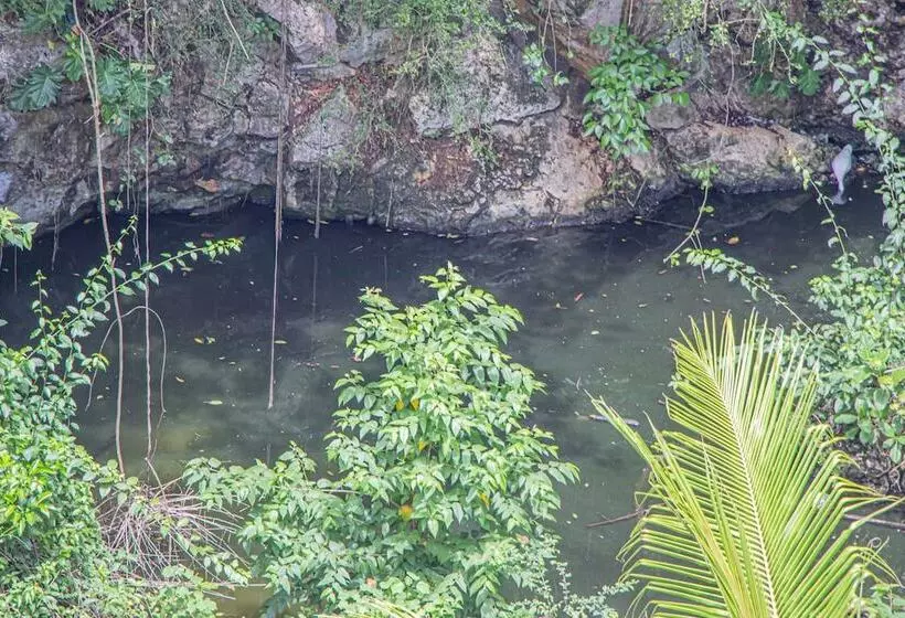 پانسیون Haley S Paradise At Blue Hole