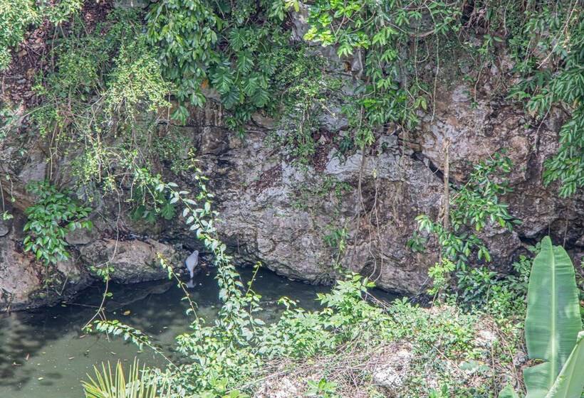 پانسیون Haley S Paradise At Blue Hole