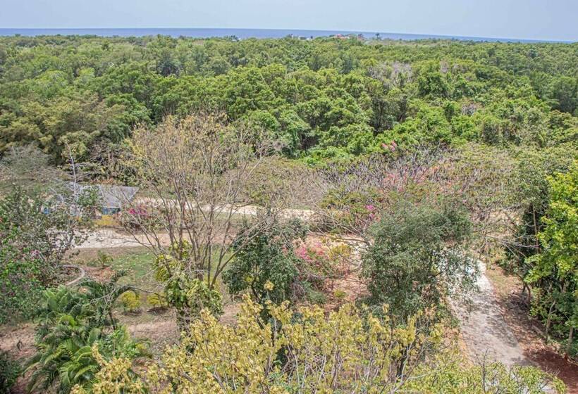 پانسیون Haley S Paradise At Blue Hole