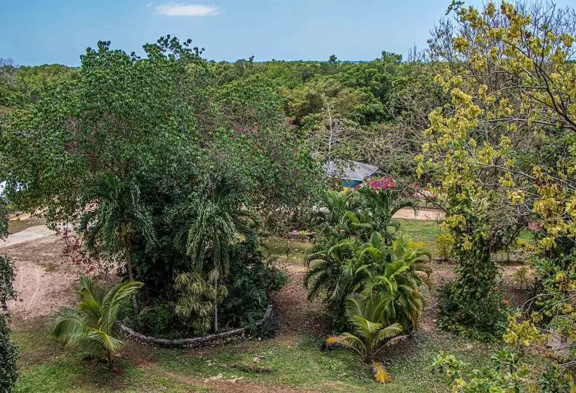 پانسیون Haley S Paradise At Blue Hole