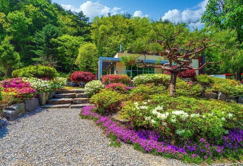 پانسیون Saeyeon Glamping & Caravan Pocheon