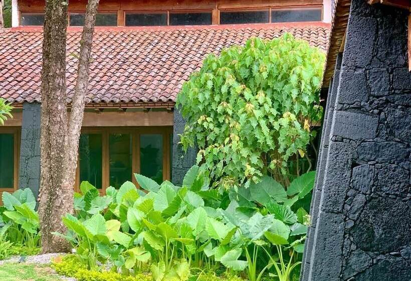 Quinta Tonantzin Hotel Boutique