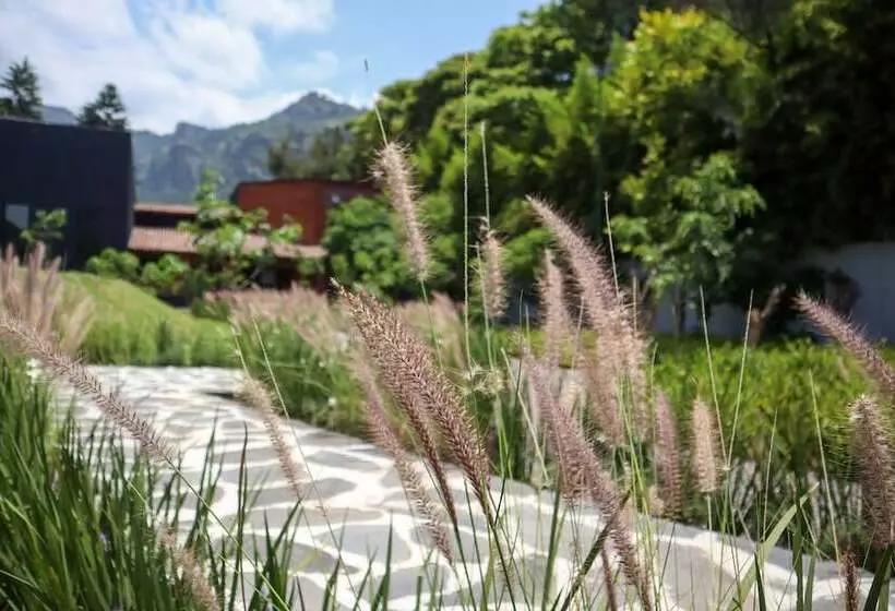 Quinta Tonantzin Hotel Boutique
