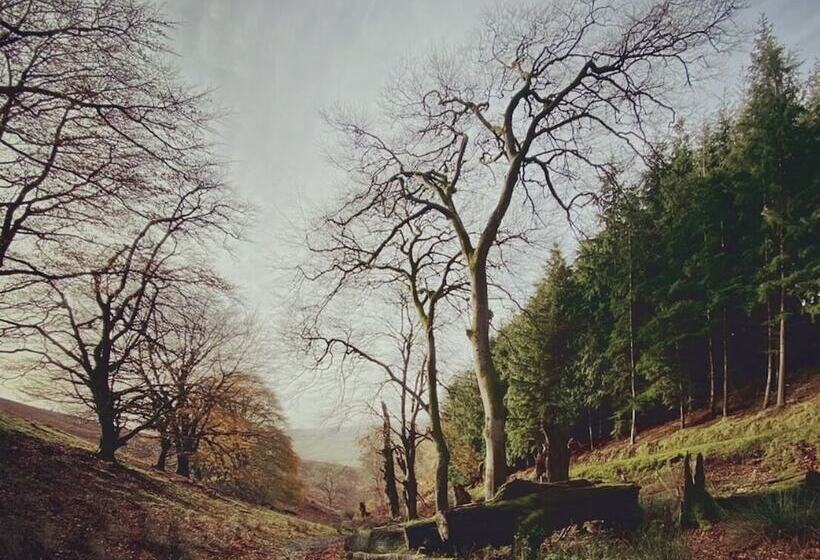 Bed and Breakfast The Malt Shovel Inn