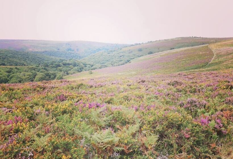 Bed and Breakfast The Malt Shovel Inn
