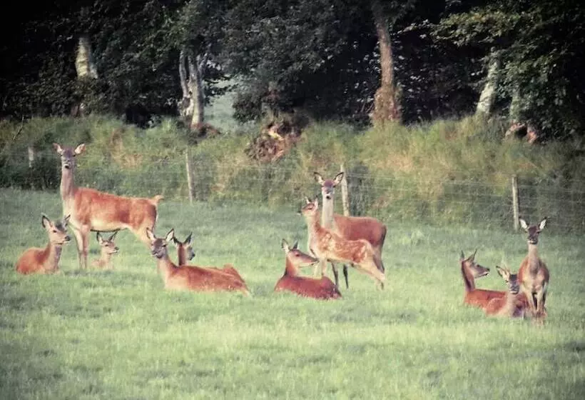 ベッドアンドブレックファースト The Malt Shovel Inn