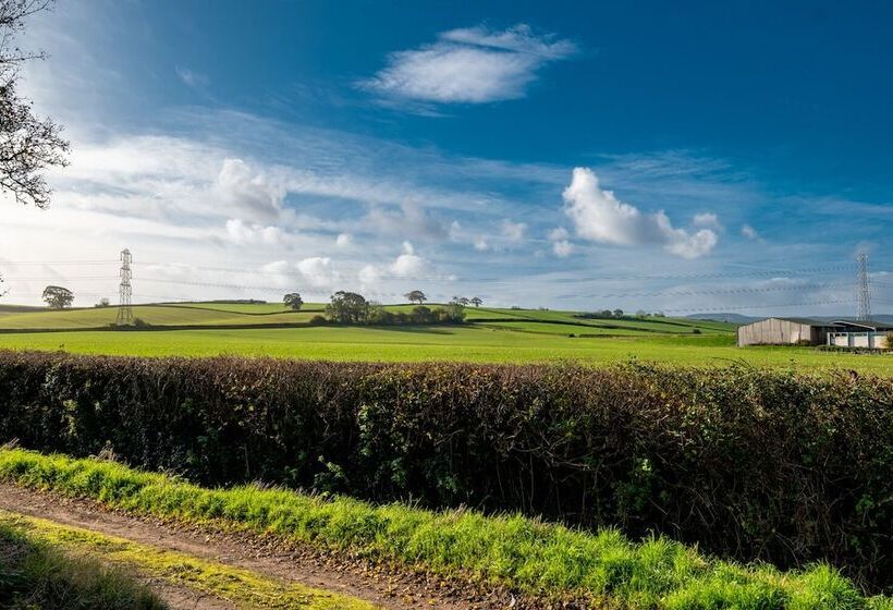 Bed and Breakfast The Malt Shovel Inn