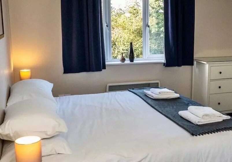 ベッドアンドブレックファースト The Malt Shovel Inn