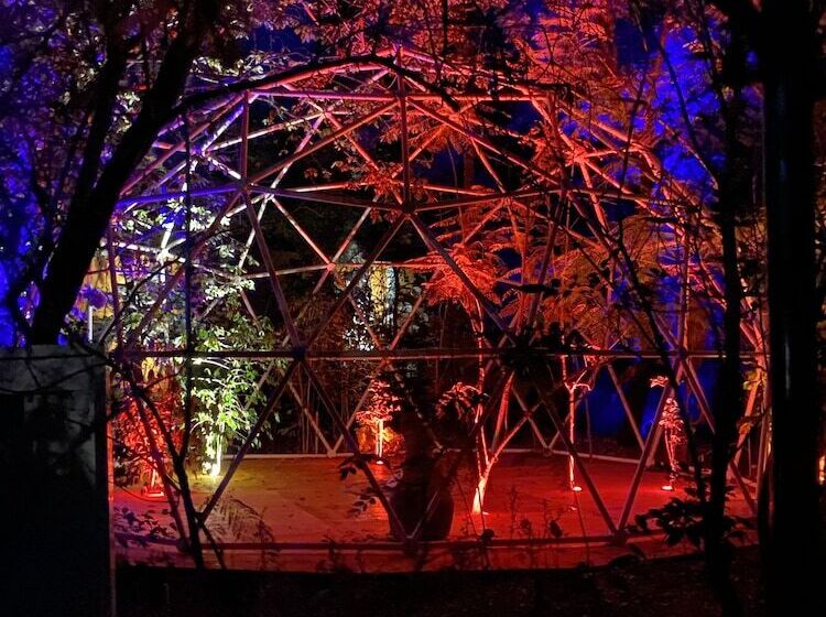 酒店 La Casa De Los árboles