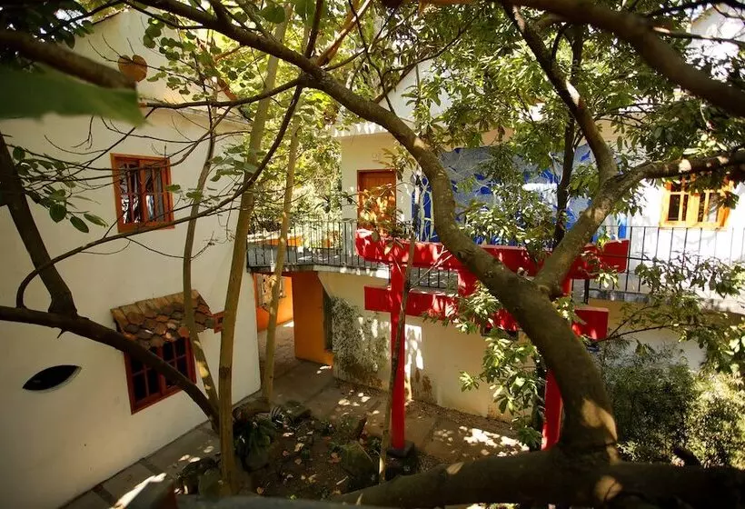 ホテル La Casa De Los árboles