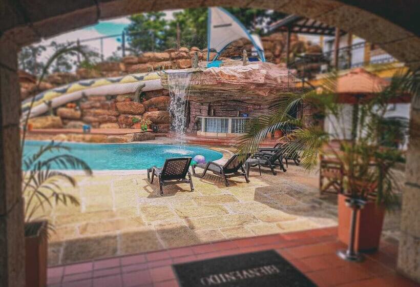 ホテル Las Rocas Resort