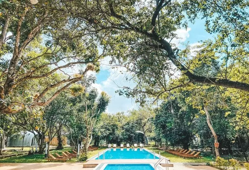 Hotelli Nivadoo Resort Sigiriya