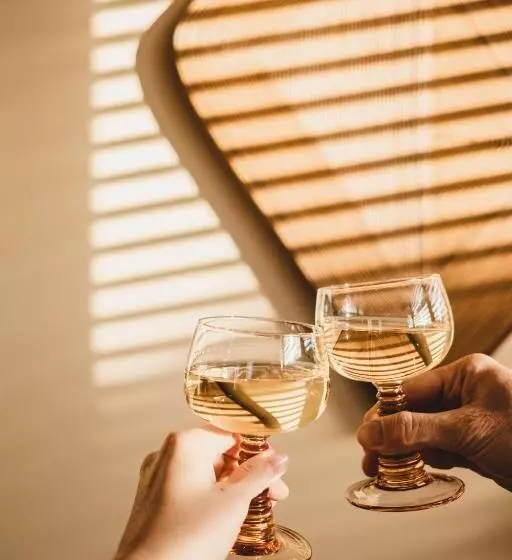 Hotelli Strandhuisjes Zoomers Aan Zee