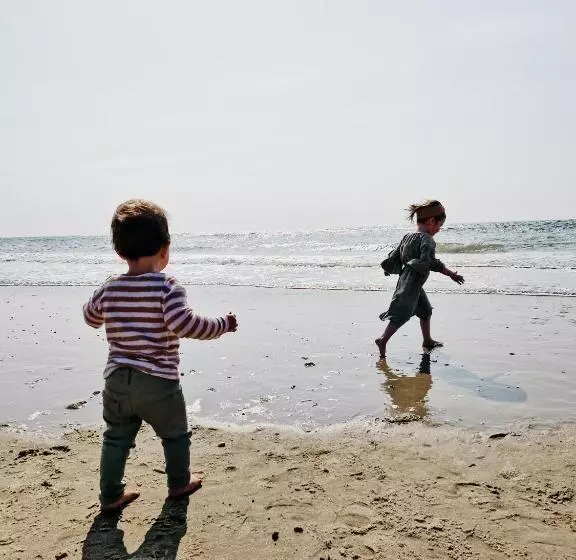 Hotelli Strandhuisjes Zoomers Aan Zee