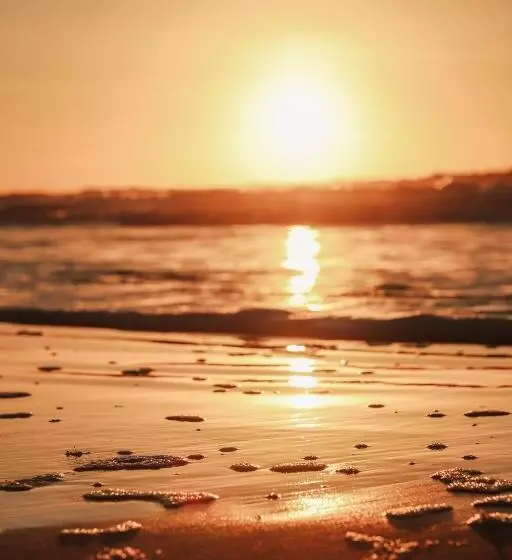 Hotelli Strandhuisjes Zoomers Aan Zee