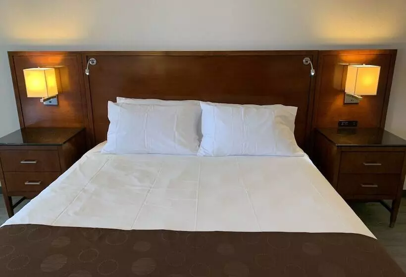 Motelli The Branson Welcome Inn   Country Blvd