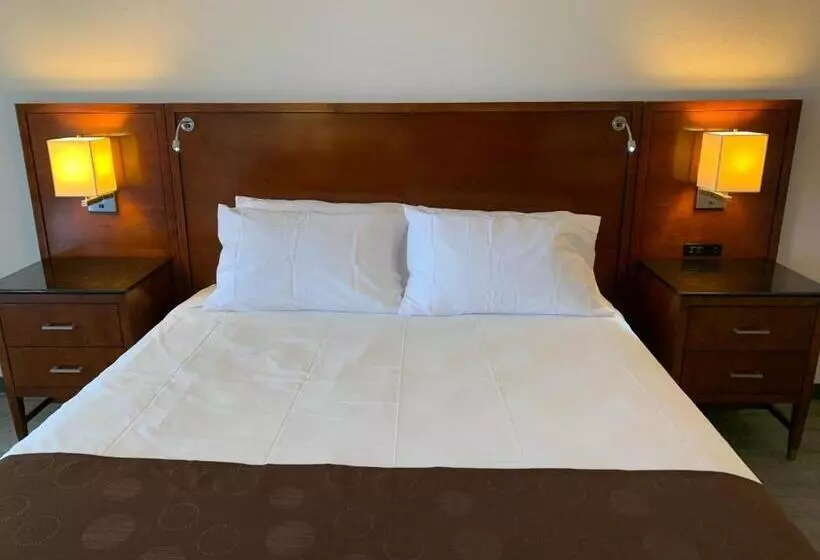 Motelli The Branson Welcome Inn   Country Blvd