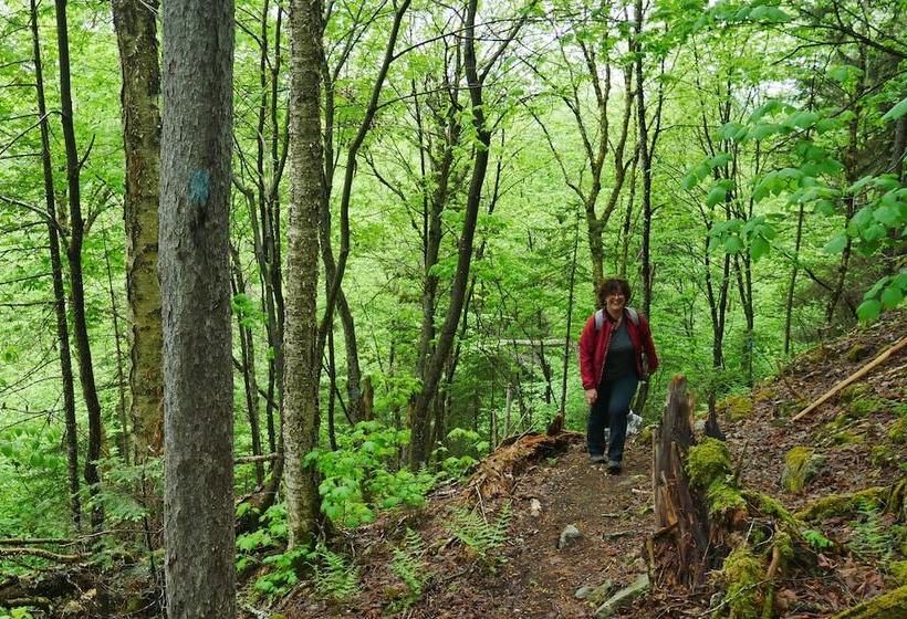 مبيت وإفطار L Ancien Presbytère De St Marcel