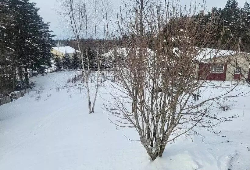 Aamiaismajoitus (B&B) L Ancien Presbytère De St Marcel