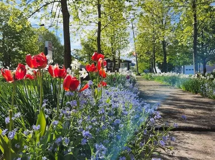 Aamiaismajoitus (B&B) L Ancien Presbytère De St Marcel