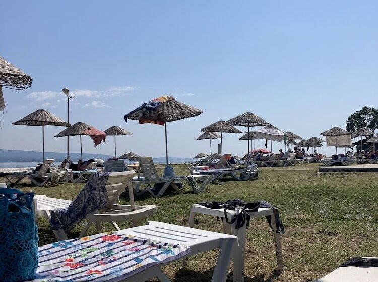 פונדק Moonlight Ay Isigi