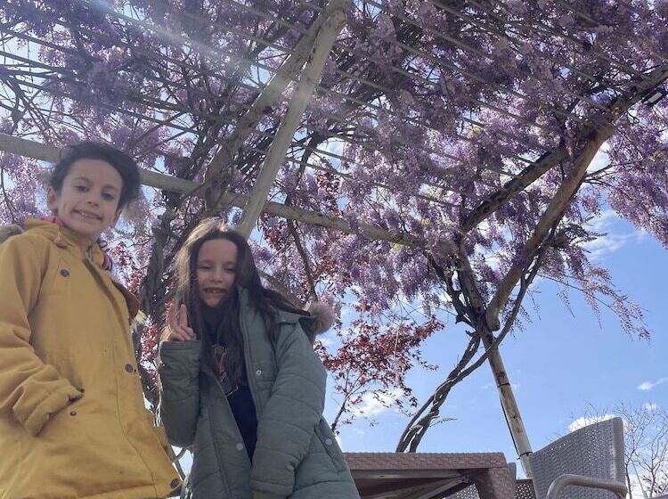 פונדק Moonlight Ay Isigi