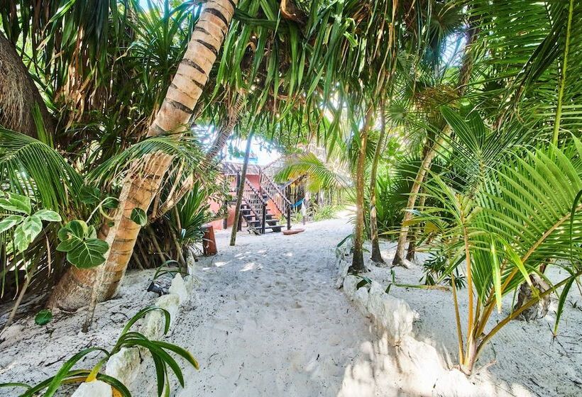 Szálloda Cabañas La Luna