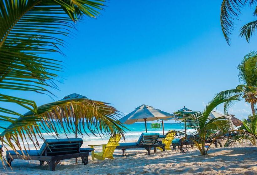 Szálloda Cabañas La Luna