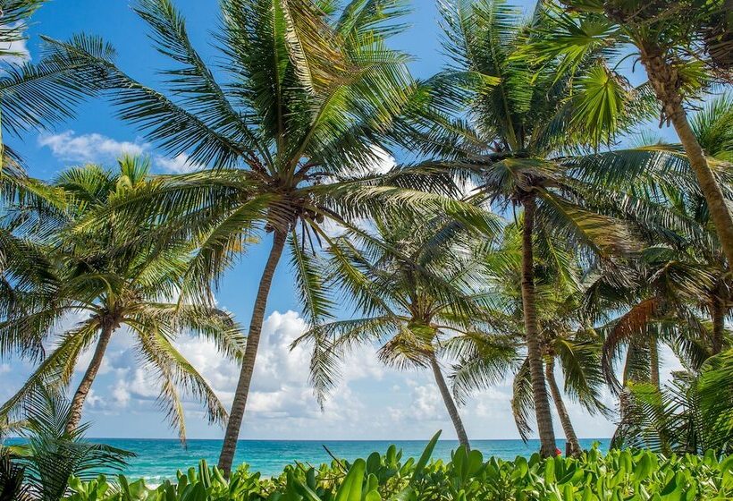 Szálloda Cabañas La Luna