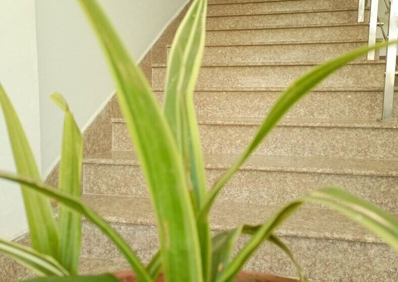 هتل Central Hawassa