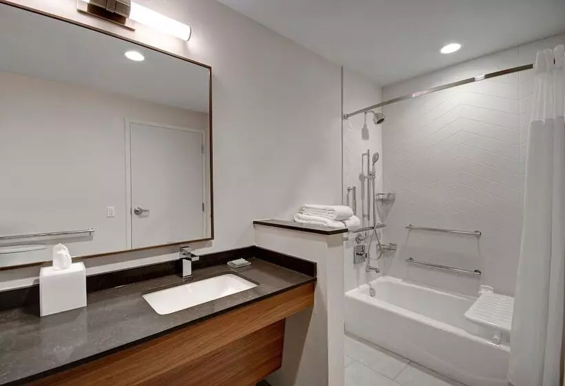 Hotelli Fairfield By Marriott Inn & Suites Rochester Hills