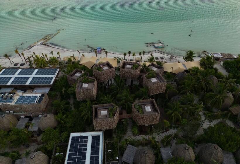 호텔 Nomade Holbox